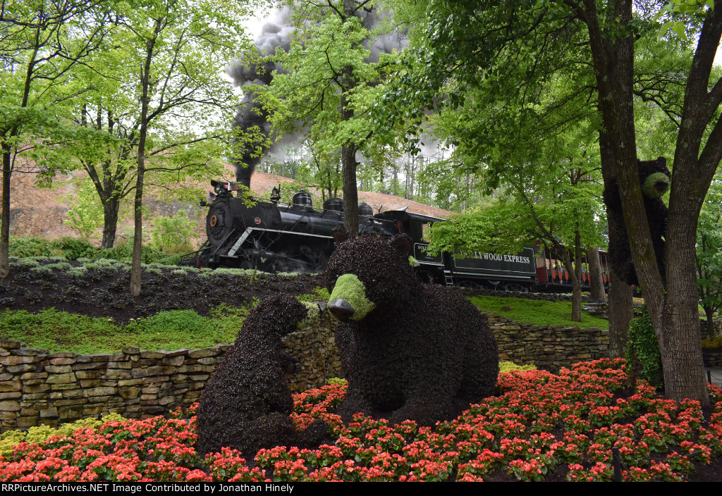 Dollywood Railroad